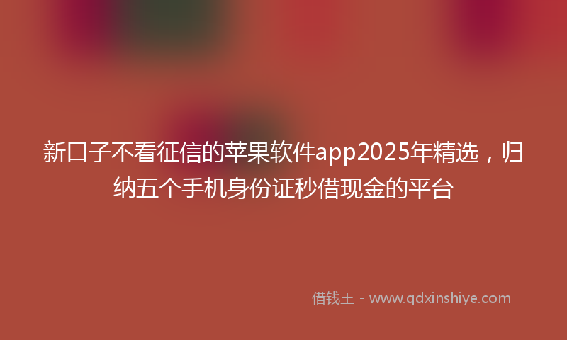 新口子不看征信的苹果软件app2025年精选，归纳五个手机身份证秒借现金的平台