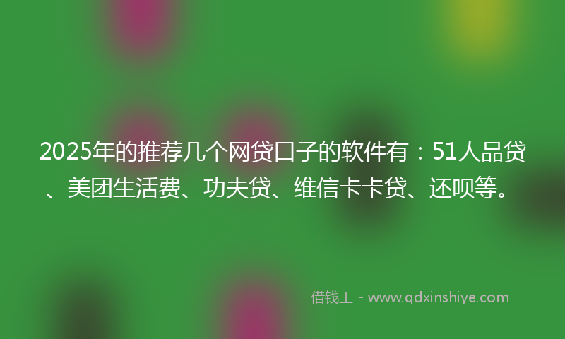 2025年的推荐几个网贷口子的软件有：51人品贷、美团生活费、功夫贷、维信卡卡贷、还呗等。