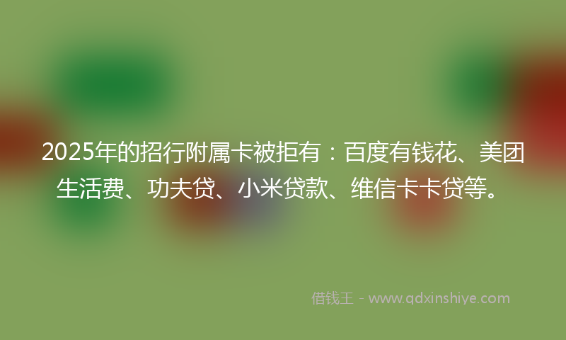 2025年的招行附属卡被拒有：百度有钱花、美团生活费、功夫贷、小米贷款、维信卡卡贷等。