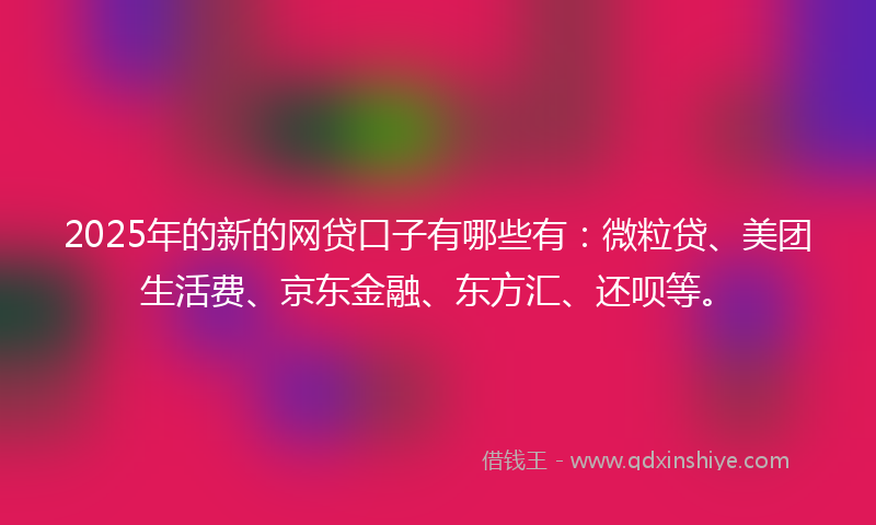 2025年的新的网贷口子有哪些有：微粒贷、美团生活费、京东金融、东方汇、还呗等。