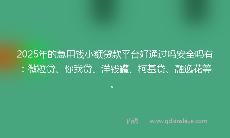 2025年的急用钱小额贷款平台好通过吗安全吗有：微粒贷、你我贷、洋钱罐、柯基贷、融逸花等。