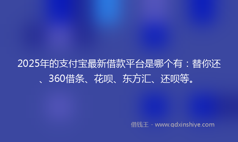 2025年的支付宝最新借款平台是哪个有：替你还、360借条、花呗、东方汇、还呗等。