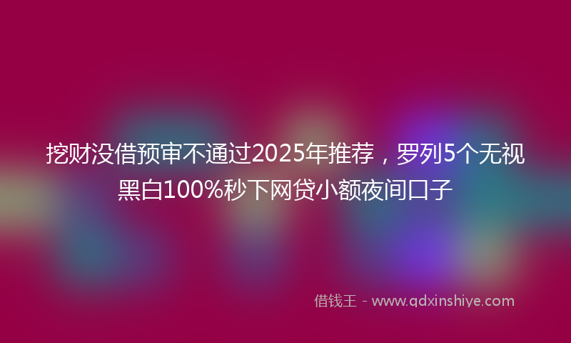 挖财没借预审不通过2025年推荐，罗列5个无视黑白100%秒下网贷小额夜间口子