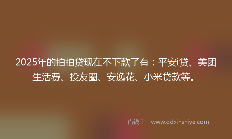 2025年的拍拍贷现在不下款了有：平安i贷、美团生活费、投友圈、安逸花、小米贷款等。