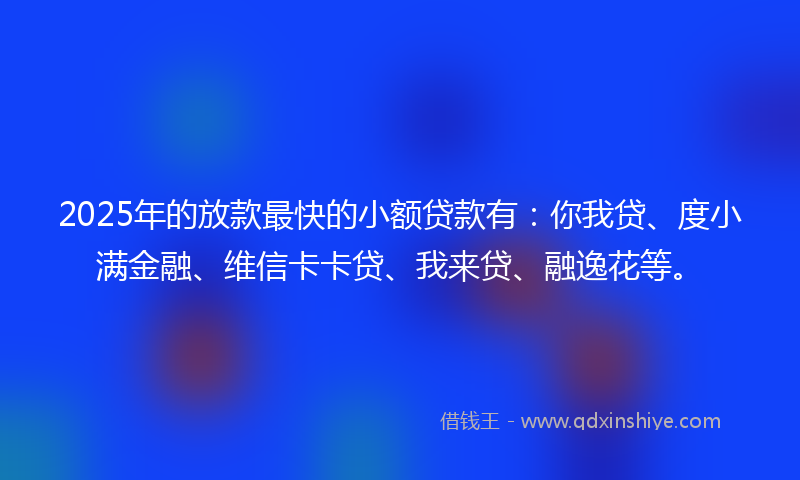 2025年的放款最快的小额贷款有：你我贷、度小满金融、维信卡卡贷、我来贷、融逸花等。