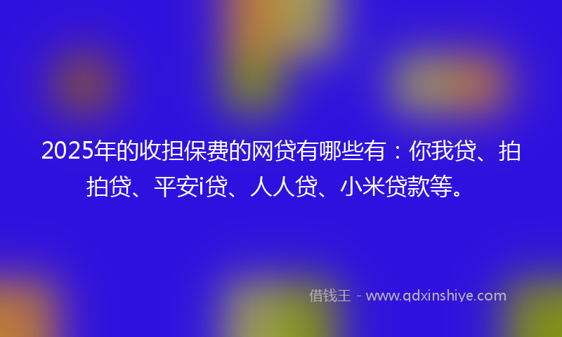 2025年的收担保费的网贷有哪些有：你我贷、拍拍贷、平安i贷、人人贷、小米贷款等。