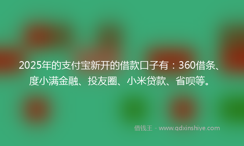 2025年的支付宝新开的借款口子有：360借条、度小满金融、投友圈、小米贷款、省呗等。