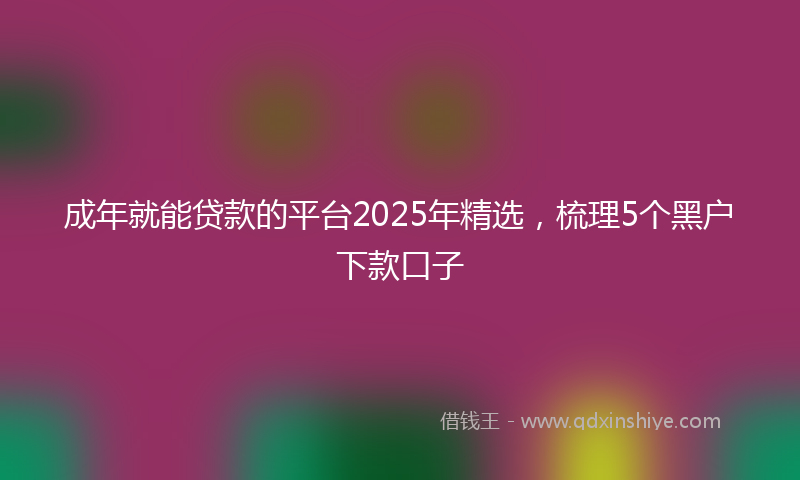 成年就能贷款的平台2025年精选，梳理5个黑户下款口子