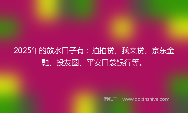 2025年的放水口子有：拍拍贷、我来贷、京东金融、投友圈、平安口袋银行等。