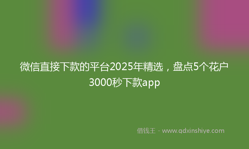 微信直接下款的平台2025年精选，盘点5个花户3000秒下款app