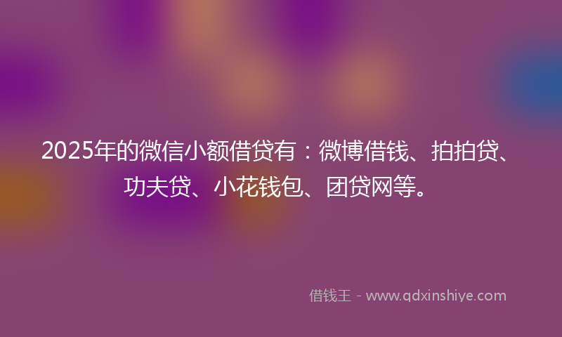2025年的微信小额借贷有：微博借钱、拍拍贷、功夫贷、小花钱包、团贷网等。