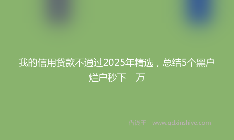 我的信用贷款不通过2025年精选，总结5个黑户烂户秒下一万