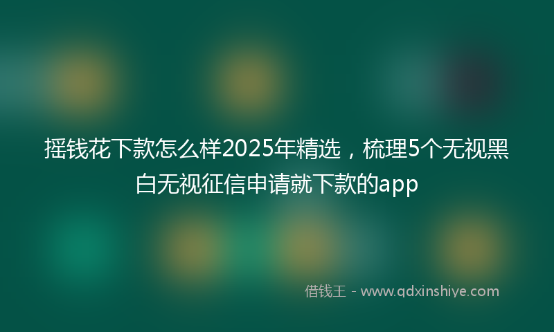 摇钱花下款怎么样2025年精选，梳理5个无视黑白无视征信申请就下款的app