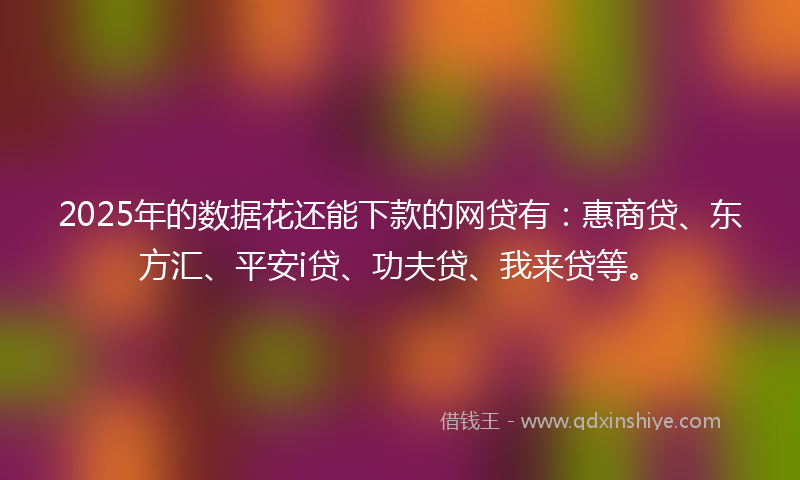 2025年的数据花还能下款的网贷有：惠商贷、东方汇、平安i贷、功夫贷、我来贷等。