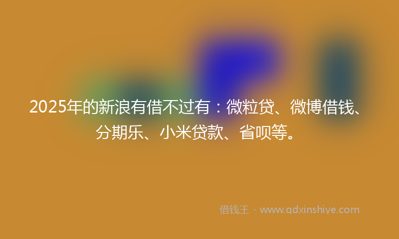 2025年的新浪有借不过有：微粒贷、微博借钱、分期乐、小米贷款、省呗等。