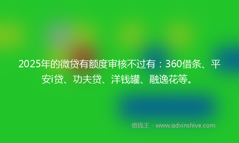 2025年的微贷有额度审核不过有：360借条、平安i贷、功夫贷、洋钱罐、融逸花等。