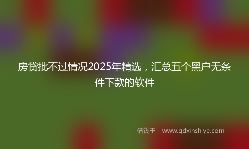 房贷批不过情况2025年精选，汇总五个黑户无条件下款的软件