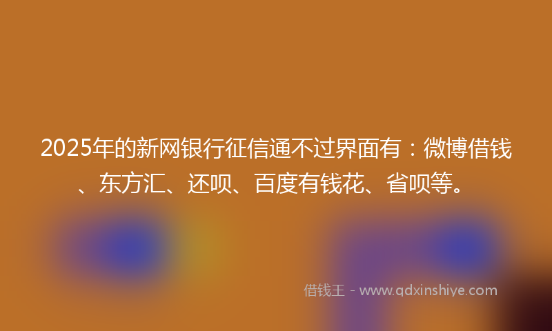2025年的新网银行征信通不过界面有：微博借钱、东方汇、还呗、百度有钱花、省呗等。