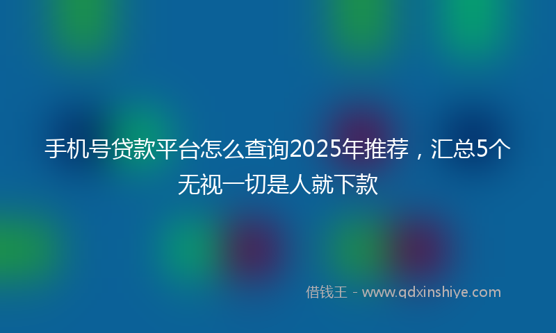 手机号贷款平台怎么查询2025年推荐，汇总5个无视一切是人就下款