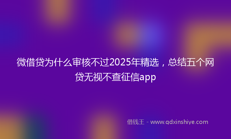 微借贷为什么审核不过2025年精选，总结五个网贷无视不查征信app