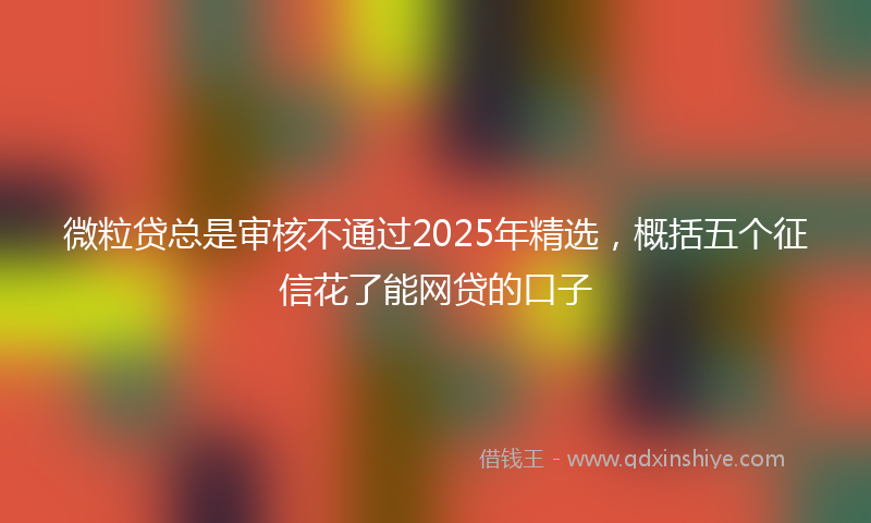 微粒贷总是审核不通过2025年精选，概括五个征信花了能网贷的口子