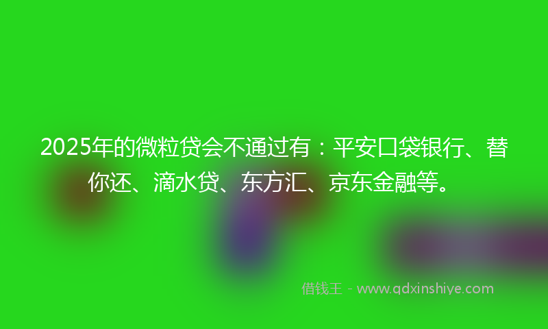 2025年的微粒贷会不通过有：平安口袋银行、替你还、滴水贷、东方汇、京东金融等。