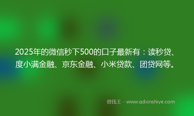 2025年的微信秒下500的口子最新有：读秒贷、度小满金融、京东金融、小米贷款、团贷网等。