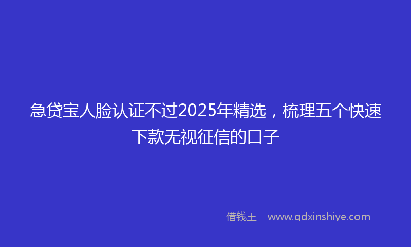 急贷宝人脸认证不过2025年精选，梳理五个快速下款无视征信的口子