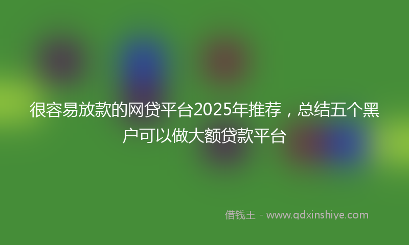 很容易放款的网贷平台2025年推荐，总结五个黑户可以做大额贷款平台