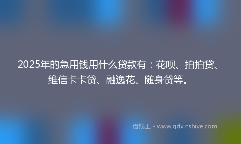2025年的急用钱用什么贷款有：花呗、拍拍贷、维信卡卡贷、融逸花、随身贷等。
