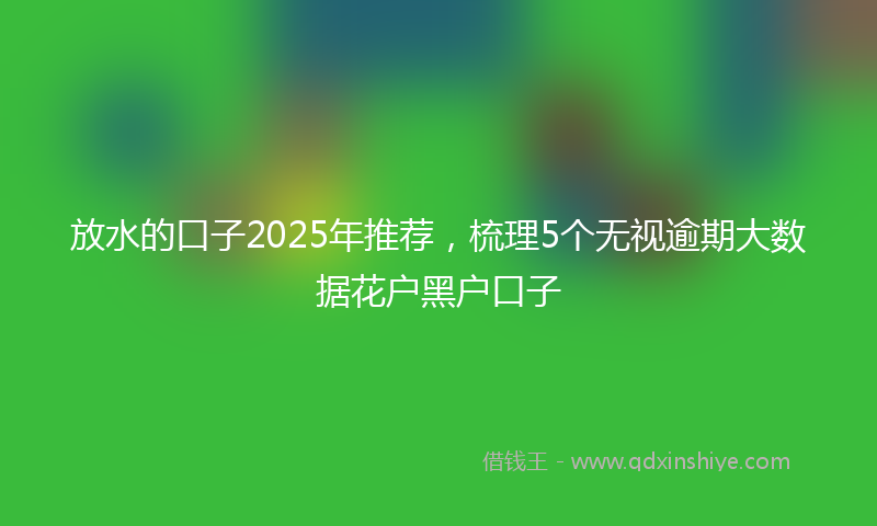 放水的口子2025年推荐，梳理5个无视逾期大数据花户黑户口子