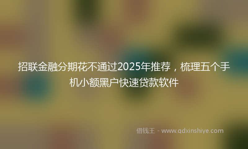 招联金融分期花不通过2025年推荐，梳理五个手机小额黑户快速贷款软件