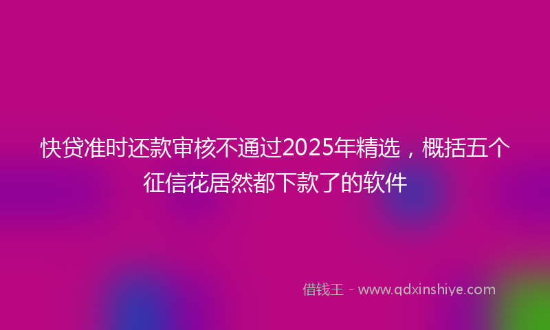 快贷准时还款审核不通过2025年精选，概括五个征信花居然都下款了的软件