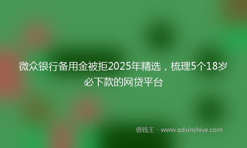 微众银行备用金被拒2025年精选，梳理5个18岁必下款的网贷平台