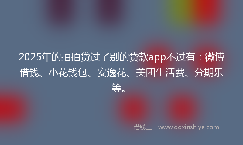 2025年的拍拍贷过了别的贷款app不过有：微博借钱、小花钱包、安逸花、美团生活费、分期乐等。