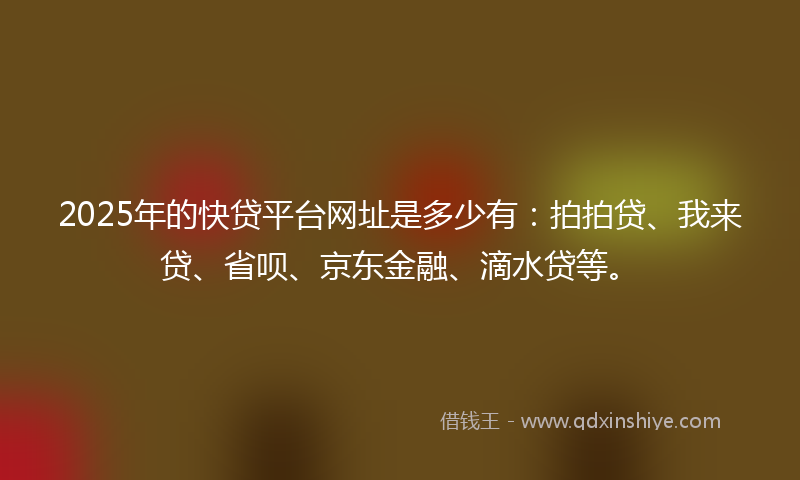 2025年的快贷平台网址是多少有：拍拍贷、我来贷、省呗、京东金融、滴水贷等。