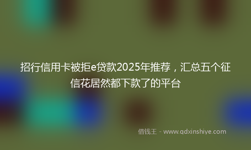 招行信用卡被拒e贷款2025年推荐，汇总五个征信花居然都下款了的平台