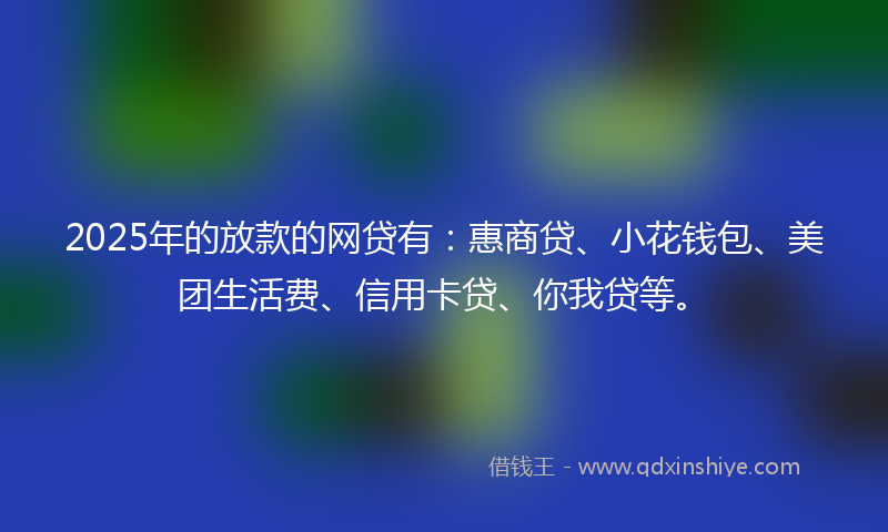 2025年的放款的网贷有：惠商贷、小花钱包、美团生活费、信用卡贷、你我贷等。