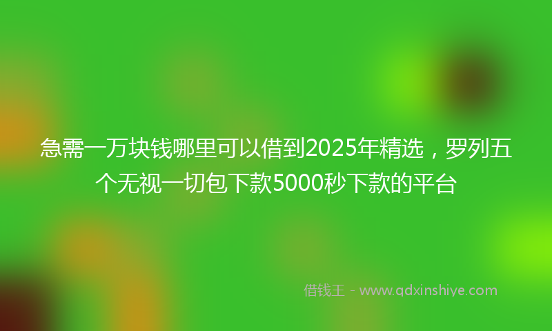 急需一万块钱哪里可以借到2025年精选，罗列五个无视一切包下款5000秒下款的平台