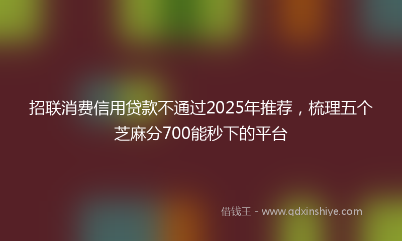 招联消费信用贷款不通过2025年推荐，梳理五个芝麻分700能秒下的平台
