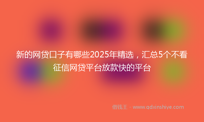 新的网贷口子有哪些2025年精选，汇总5个不看征信网贷平台放款快的平台