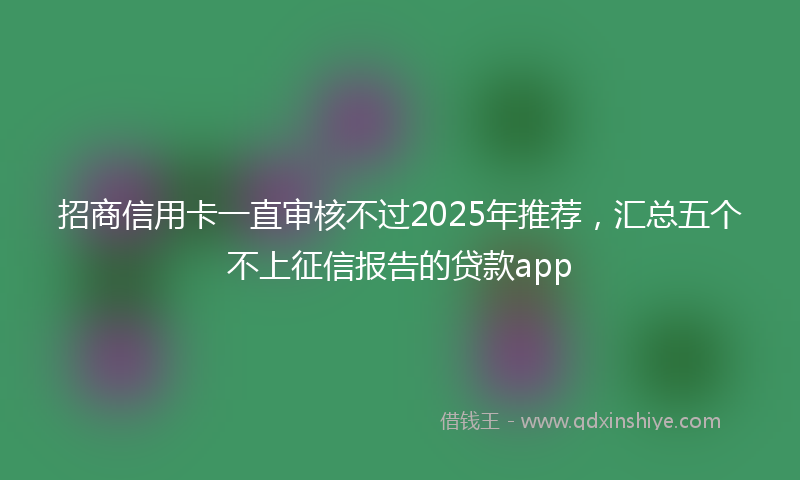 招商信用卡一直审核不过2025年推荐，汇总五个不上征信报告的贷款app