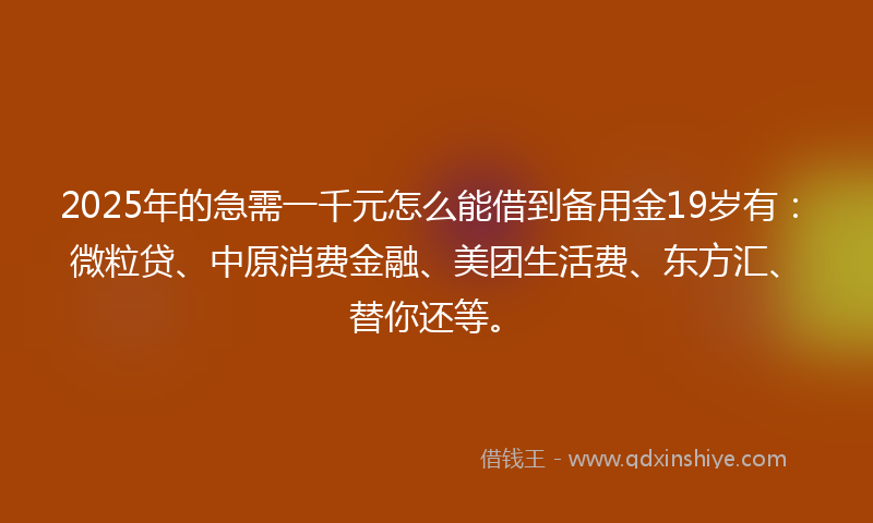 2025年的急需一千元怎么能借到备用金19岁有：微粒贷、中原消费金融、美团生活费、东方汇、替你还等。