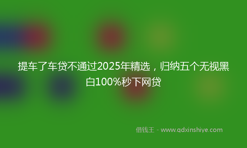 提车了车贷不通过2025年精选，归纳五个无视黑白100%秒下网贷