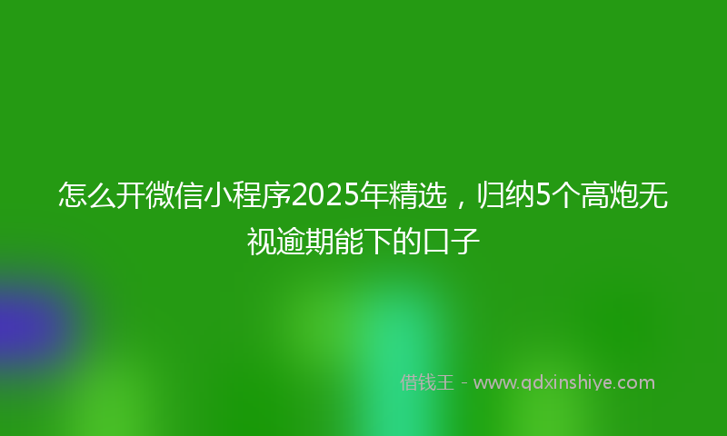 怎么开微信小程序2025年精选，归纳5个高炮无视逾期能下的口子