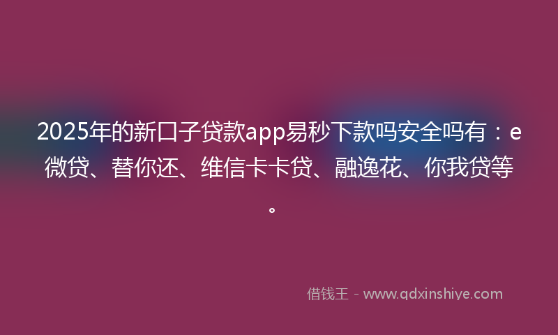 2025年的新口子贷款app易秒下款吗安全吗有：e微贷、替你还、维信卡卡贷、融逸花、你我贷等。