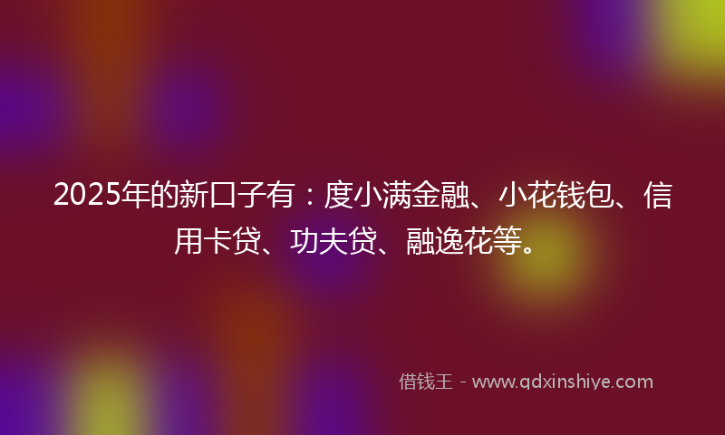 2025年的新口子有：度小满金融、小花钱包、信用卡贷、功夫贷、融逸花等。