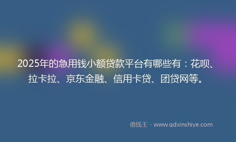 2025年的急用钱小额贷款平台有哪些有：花呗、拉卡拉、京东金融、信用卡贷、团贷网等。