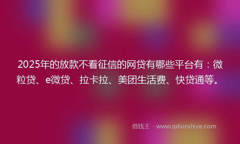 2025年的放款不看征信的网贷有哪些平台有：微粒贷、e微贷、拉卡拉、美团生活费、快贷通等。