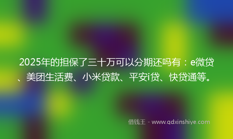 2025年的担保了三十万可以分期还吗有：e微贷、美团生活费、小米贷款、平安i贷、快贷通等。